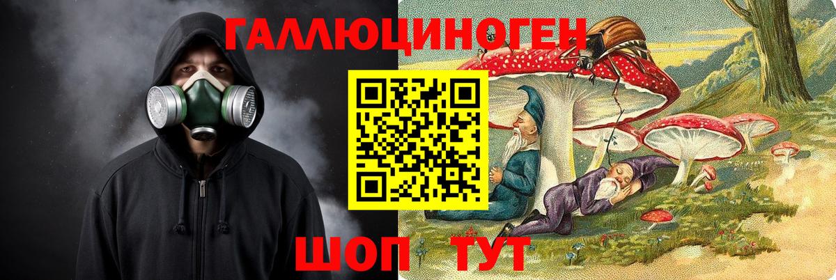 Галлюциногенные грибы Psilocybine cubensis  Псилоцибиновые грибы Psilocybine cubensis  Вход с VPN  Железногорск 